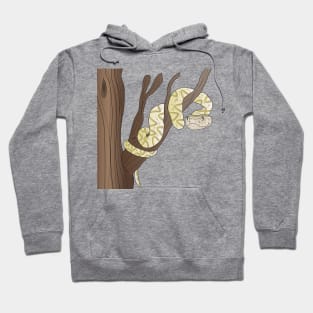 Viper jararaca dangerous snake of Brazil Hoodie